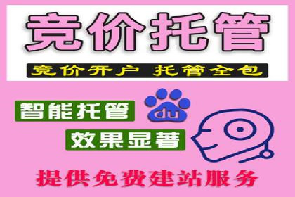 SEM竞价代运营公司案例创新解析